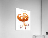 Turks Cap Lily Acrylic Print