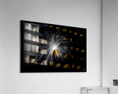 Butterfly Weed Tuft Acrylic Print