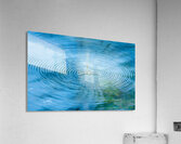 Dragonfly on Water Acrylic Print