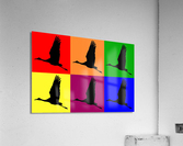 Pop Art Cranes  1 Acrylic Print