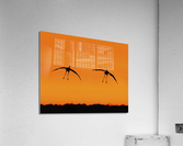 Cranes falling with Style Acrylic Print