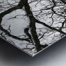 snowy tree Metal print
