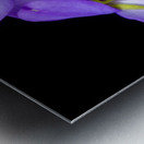 Birds Foot Violet Metal print