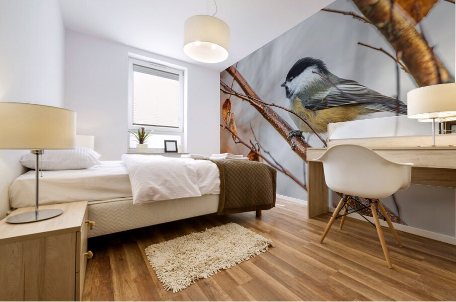 Chickadee in River Birch Mural print