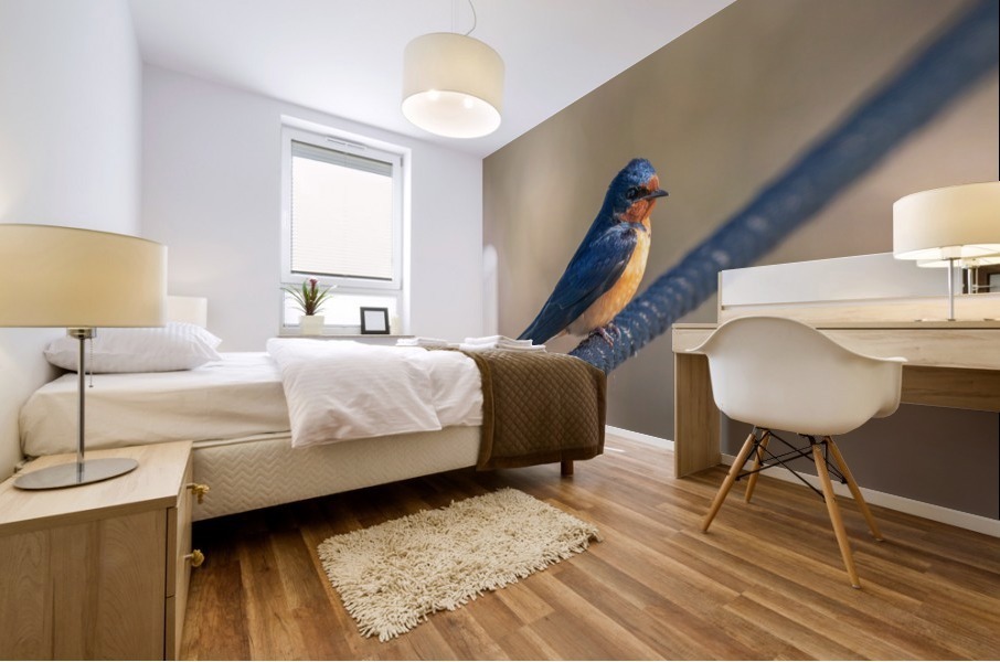 Barn Swallow on Rope Mural print