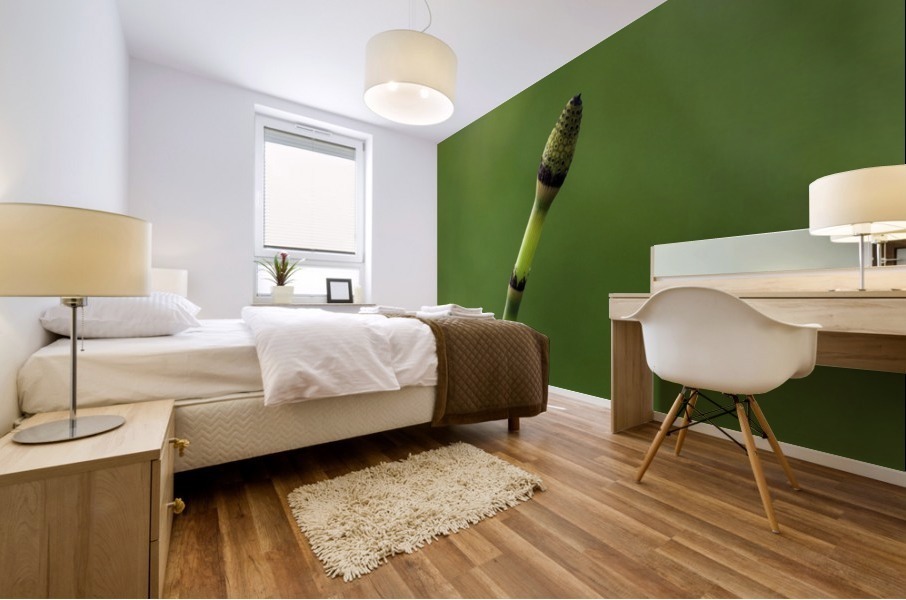 equisetum horsetail Mural print
