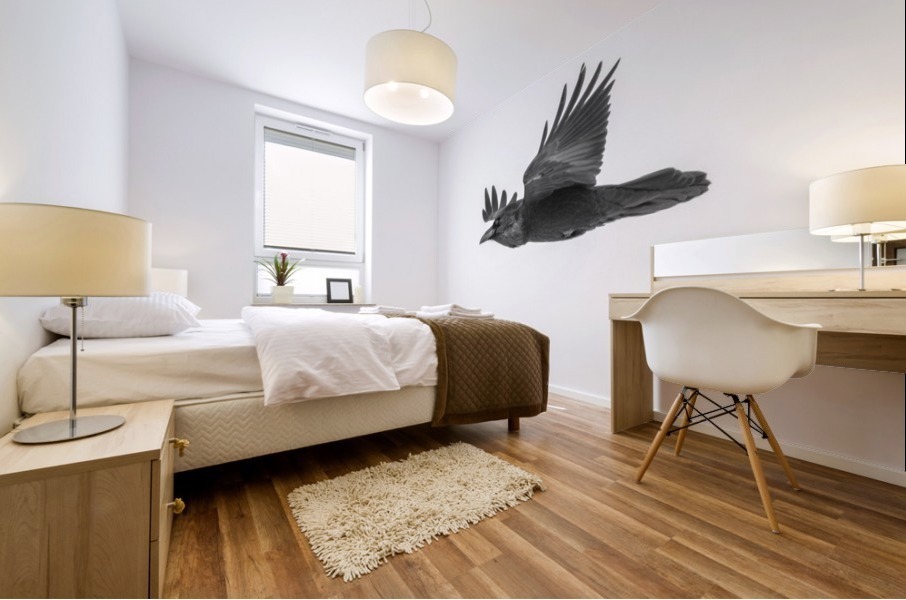 Common Raven Mural print