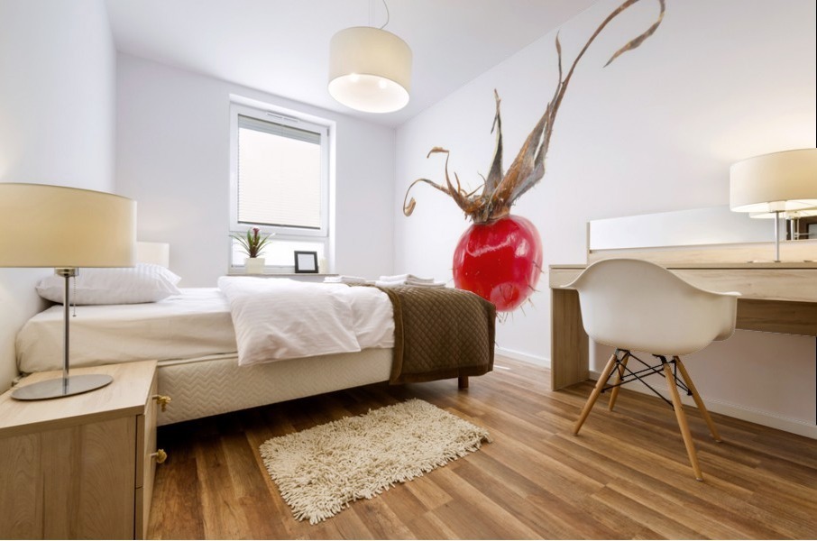 Wild Rose Hip Mural print