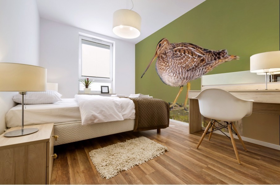 Wilsons Snipe on Post Mural print