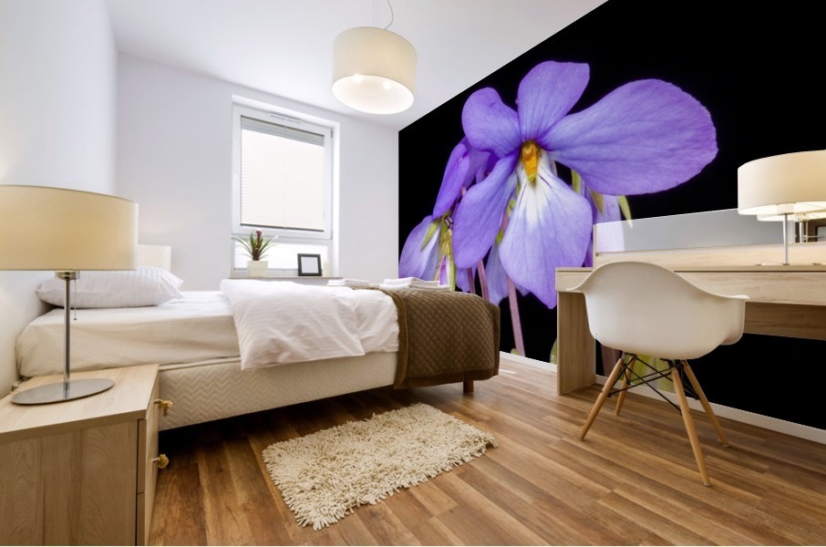 Birds Foot Violet Mural print