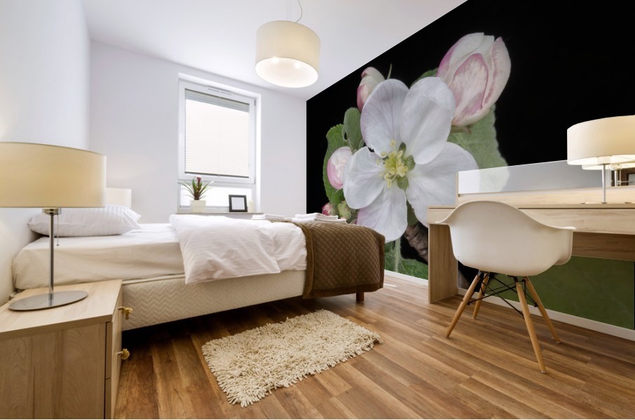 Apple Blossom Mural print
