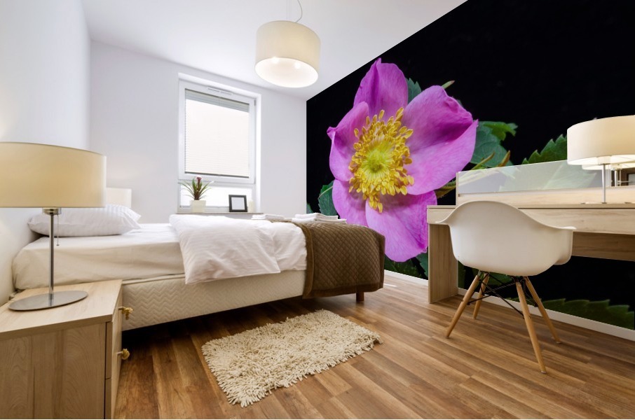 Wild Prairie Rose Mural print