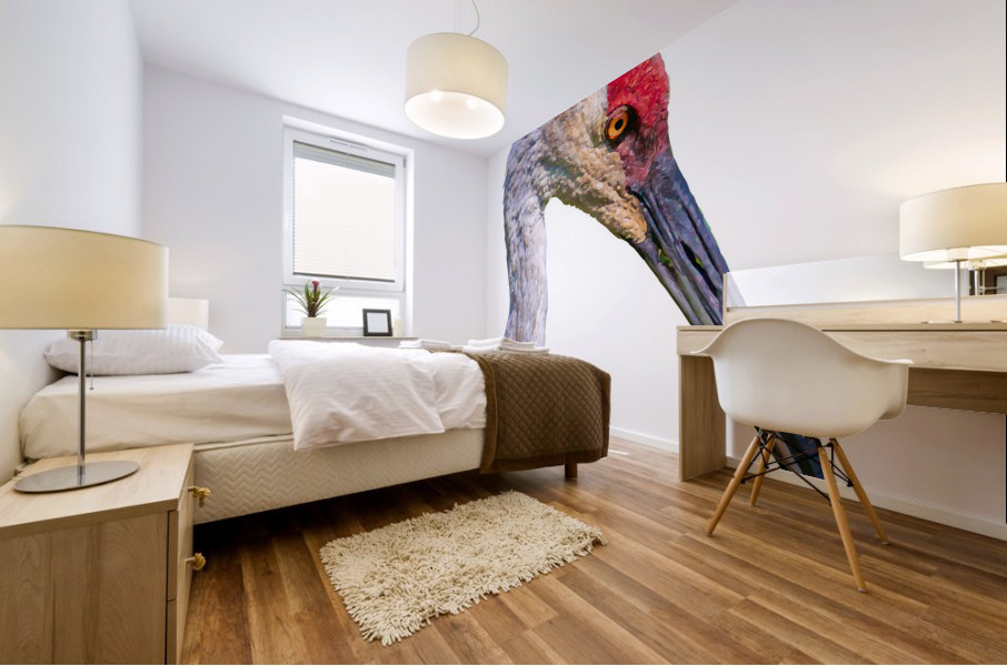 Sandhill Crane Beauty Shot Mural print