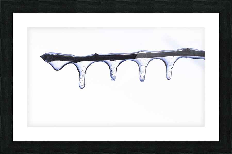 Twig on Ice Picture Frame print
