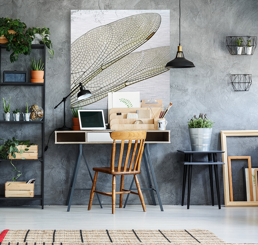 Dragonfly Wing Reproduction