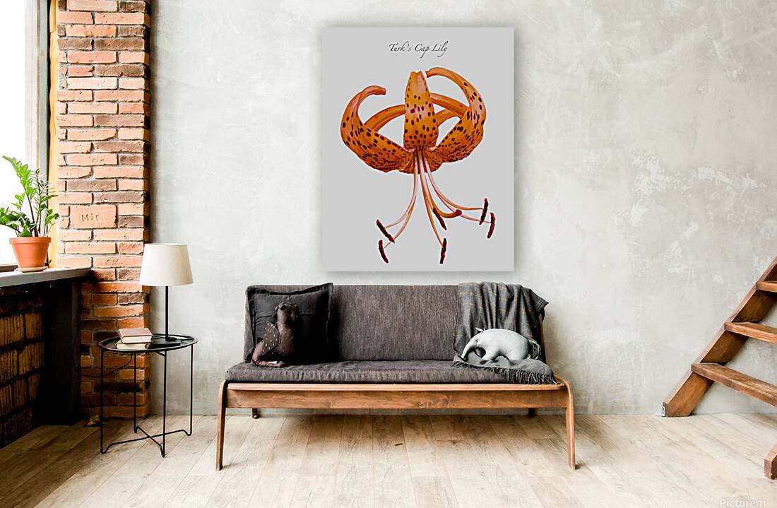 Turks Cap Lily Reproduction