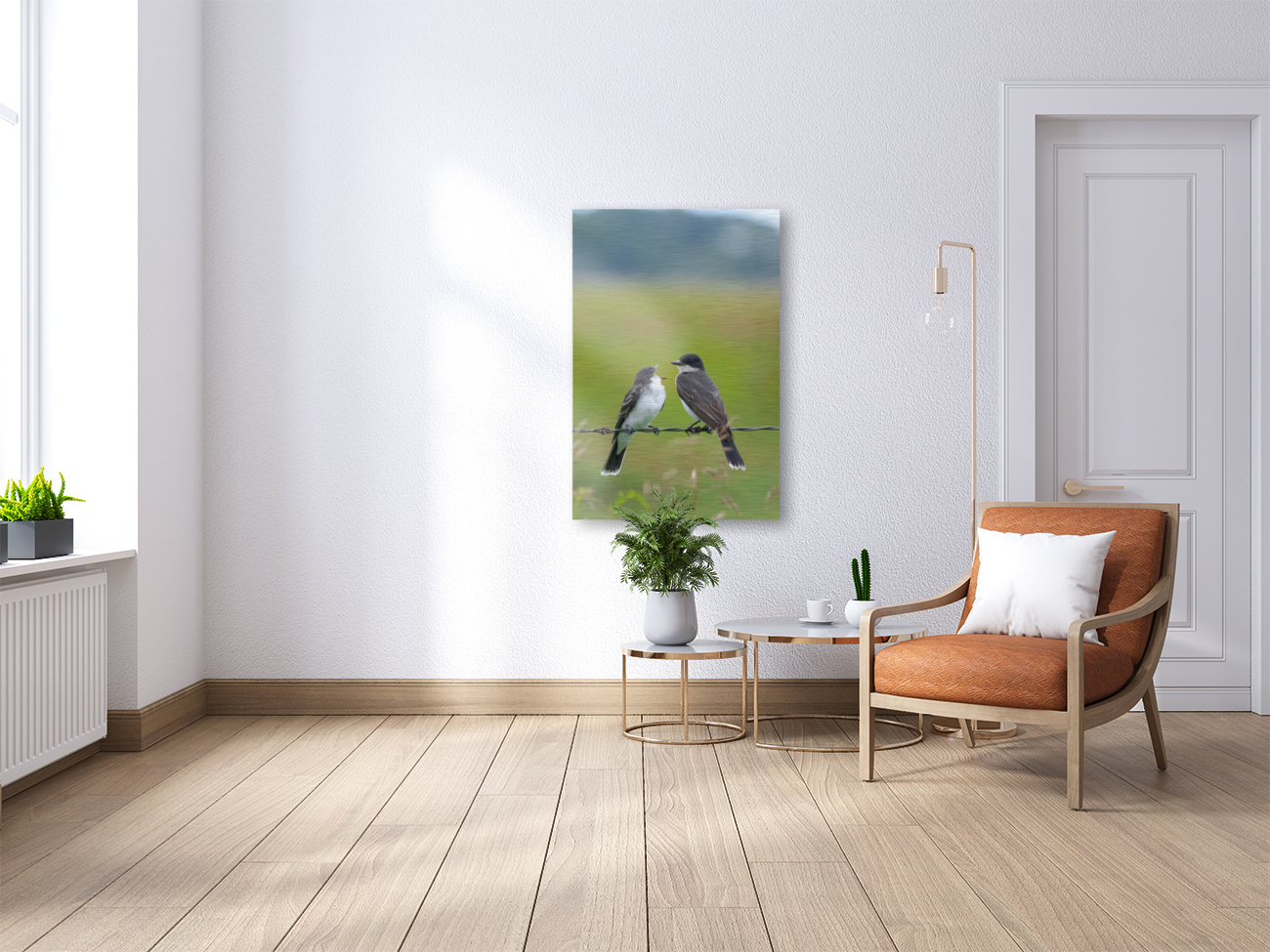 Feeding time: Eastern Kingbird Reproduction