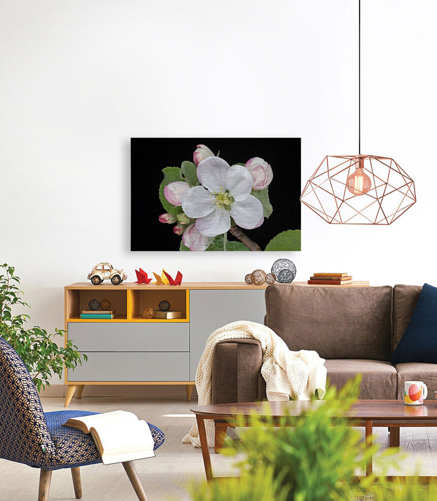 Apple Blossom Reproduction