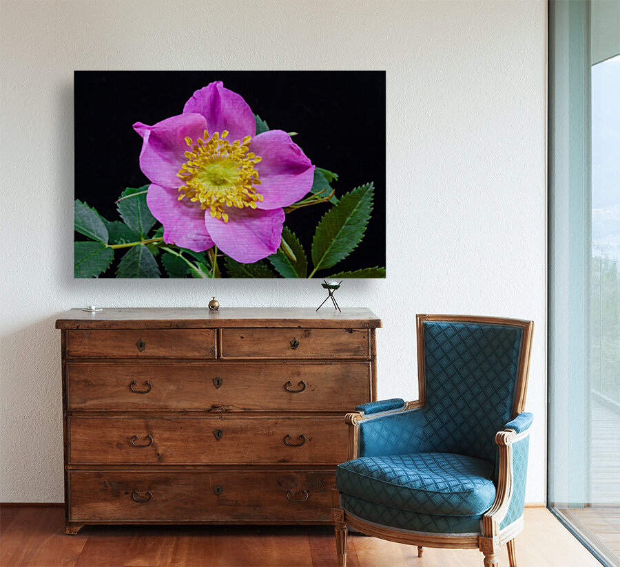 Wild Prairie Rose Reproduction
