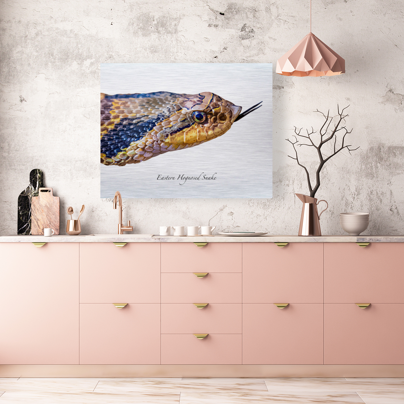 Eastern Hognosed Snake Reproduction