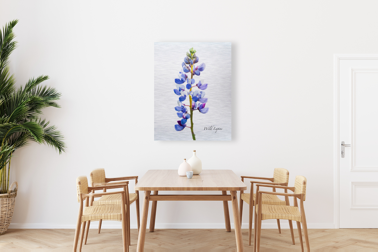 Wild Lupine Reproduction