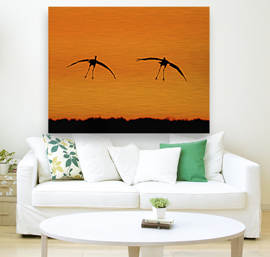 Cranes falling with Style Reproduction