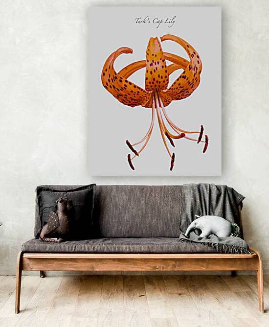 Turks Cap Lily by Joe Riederer