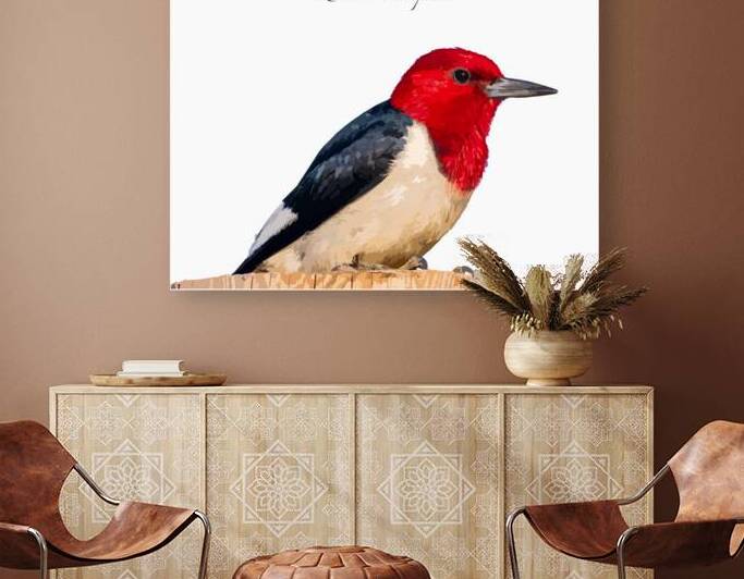Red-headed Woodpecker by Joe Riederer