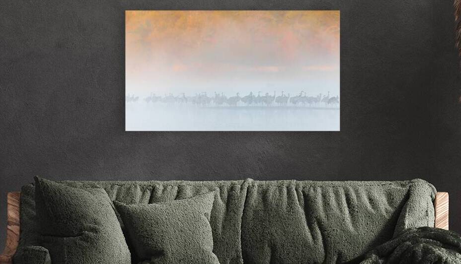 Sandhills in Morning Fog by Joe Riederer