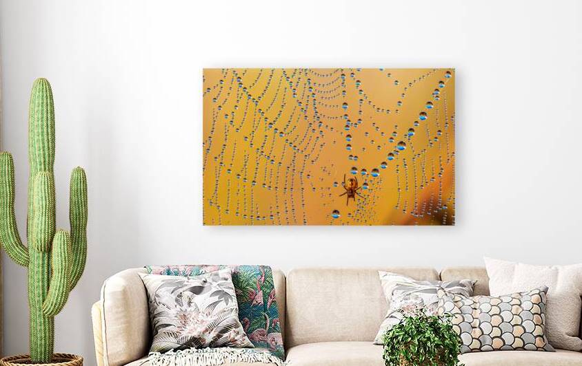 Silk and Pearls by Joe Riederer