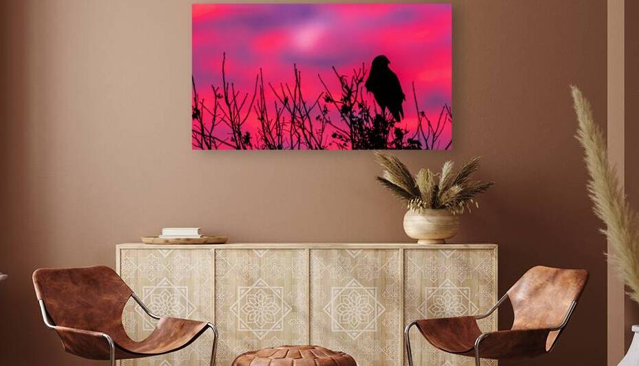 Rough legged Hawk at Sunrise by Joe Riederer