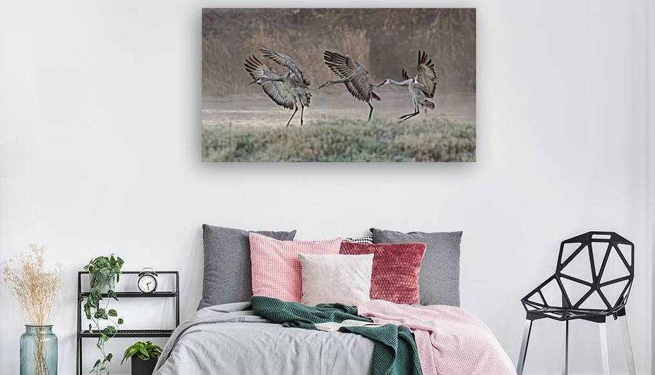Crane Family by Joe Riederer