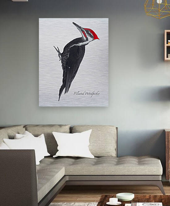 Pileated Woodpecker by Joe Riederer