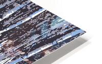 Birch Shadows on Snow HD Metal print