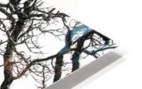snowy tree HD Metal print