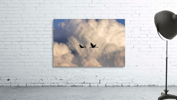 Sandhill Cranes in Cumulus Clouds Wall Preview