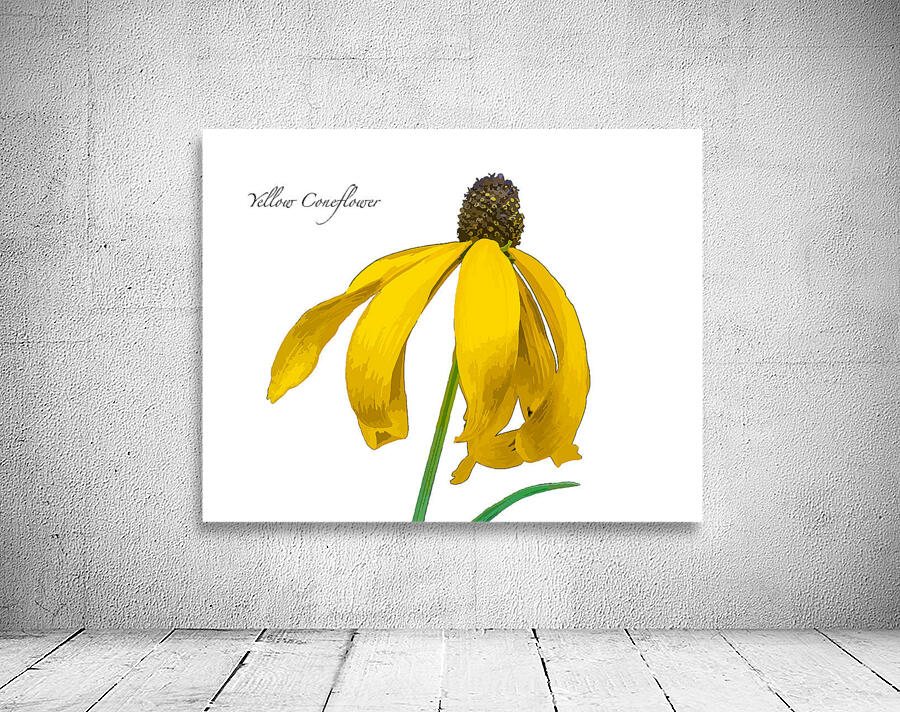 Yellow Coneflower Wall Preview