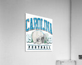 Carolina Panthers 13 Acrylic Print