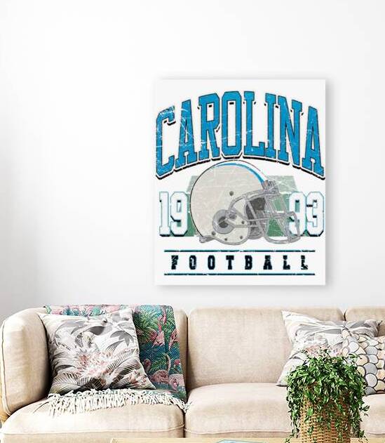 Carolina Panthers 13 by EricRMiller