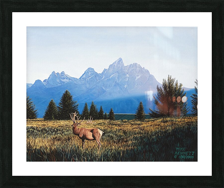 Teton Sunset in the Fall     Picture Frame print