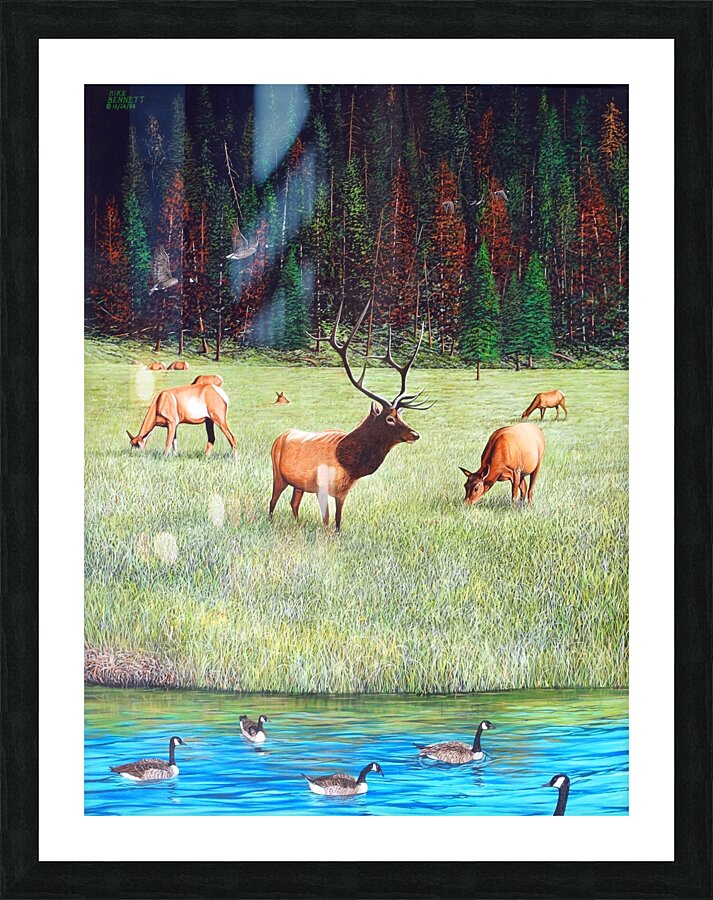 Yellowstone Residents Picture Frame print
