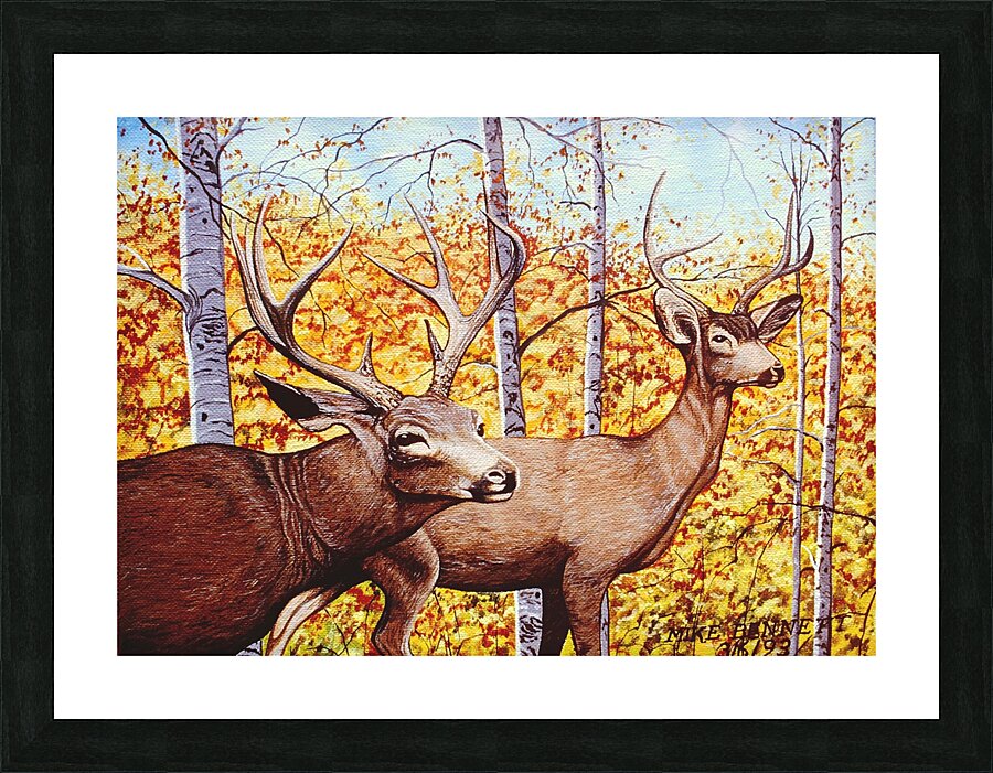 Mule Deer and Aspens    Picture Frame print