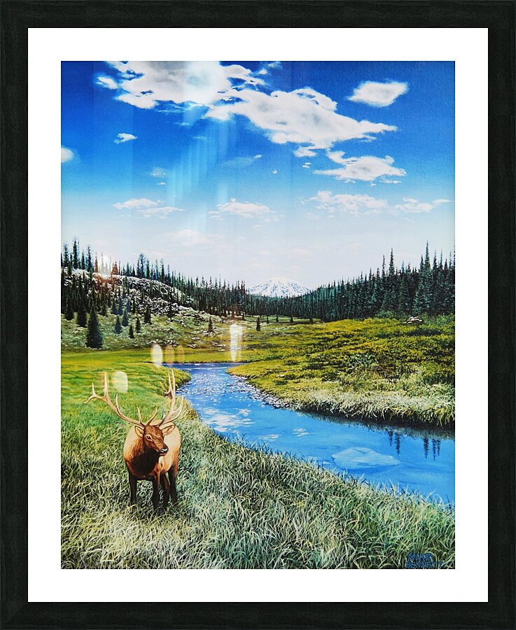 Elks Domain    Picture Frame print