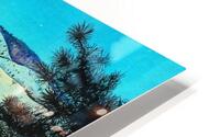 Silent Night    HD Metal print