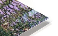 Trout Lake   HD Metal print