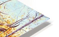 Mule Deer and Aspens    HD Metal print