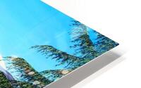 Moose at Mt. Rainier   HD Metal print