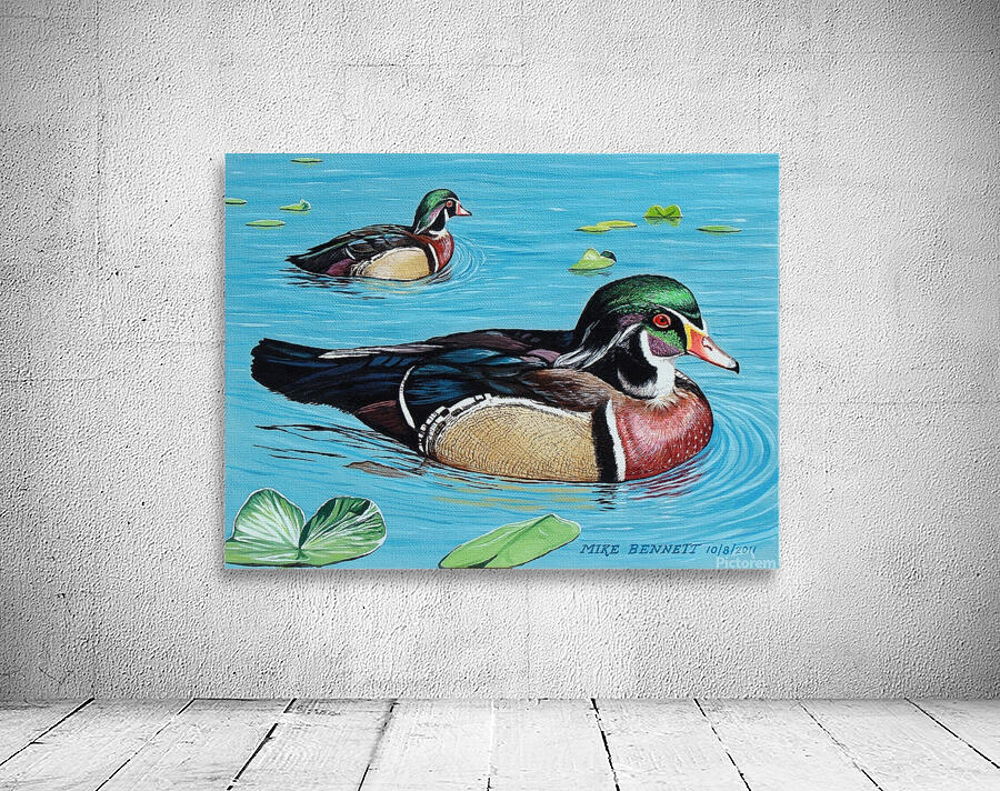 Wood Ducks    Wall Preview