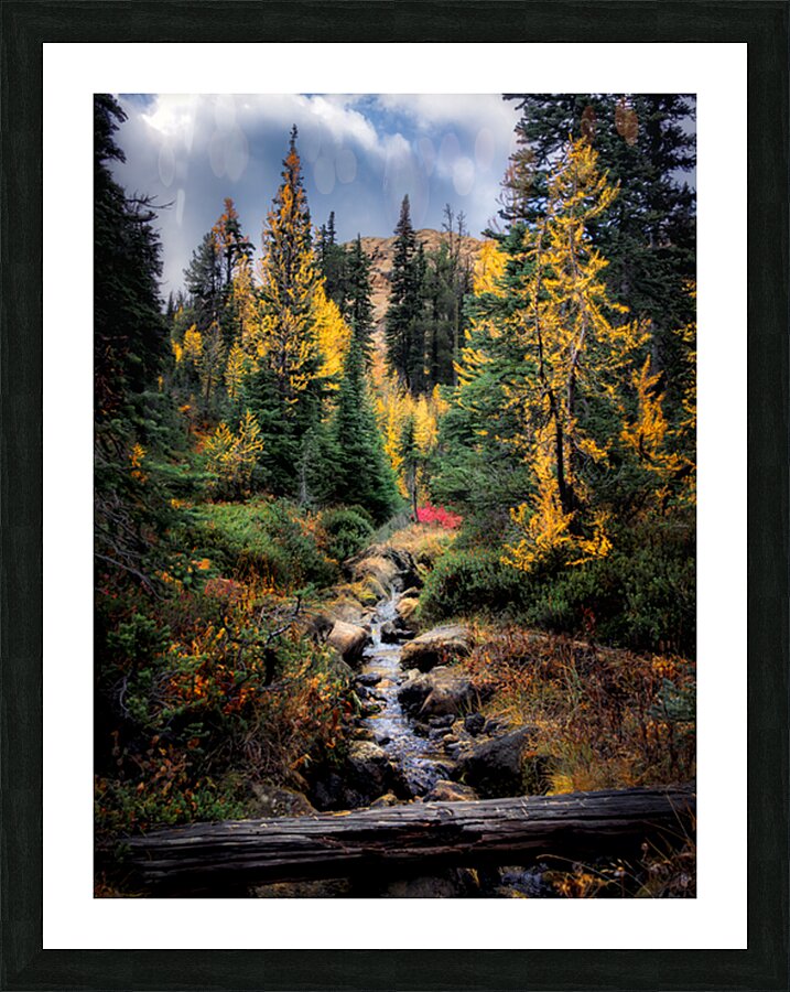 Autumn Tranquility  Picture Frame print