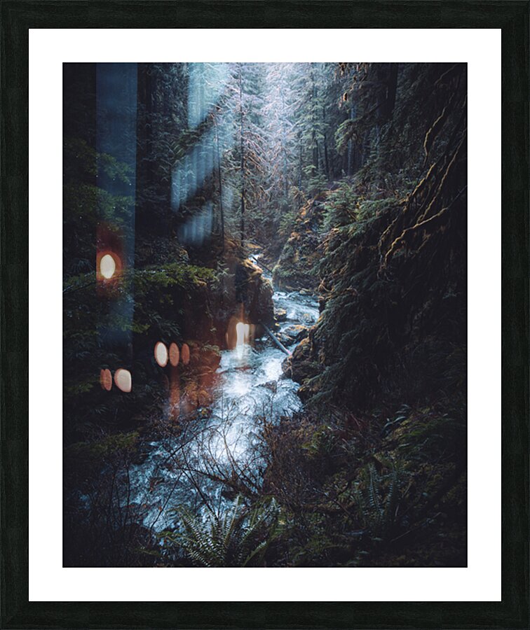 Rainforest Rush  Picture Frame print